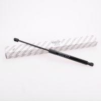 Vérin à gaz pour hayon 1 pièce