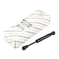 Ressort à gaz pour le capot