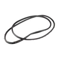 Caoutchouc profilé pour la porte arrière droite