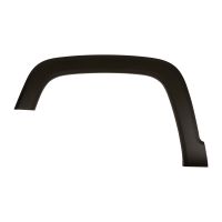 Bande décorative sur l'aile avant gauche