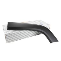 Bande décorative sur l'aile arrière gauche