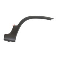 Bande décorative sur l'aile avant droite