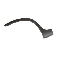 Bande décorative sur l'aile arrière droite