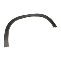 Bande décorative sur l'aile avant droite