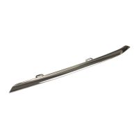 bande de garniture, calandre avant gauche