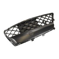 Grille de radiateur à gauche