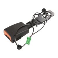 Gurtpeitsche vorne links