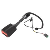 Fouet de ceinture sur le devant gauche