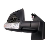 Rétroviseur extérieur droit capteur de température manuel d'origine