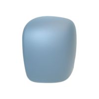 Coque de rétroviseur extérieur gauche