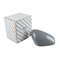 Coque de rétroviseur extérieur droit