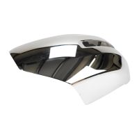 Coque de rétroviseur extérieur gauche chromé