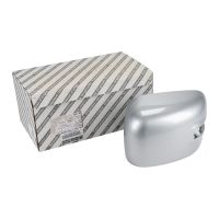 Capuchon de rétroviseur à gauche