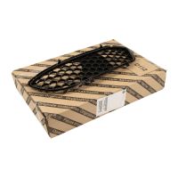 Calandre devant le pare-chocs à gauche