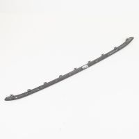 Zierleiste vorne an der Stoßstange