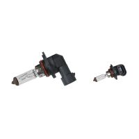 Ampoule H12 12V 53W version culot PZ20d