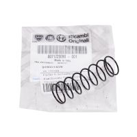 Ressort pour pommeau de levier de vitesse